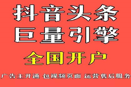 XX领域竞价广告的投放策略及效果展示
